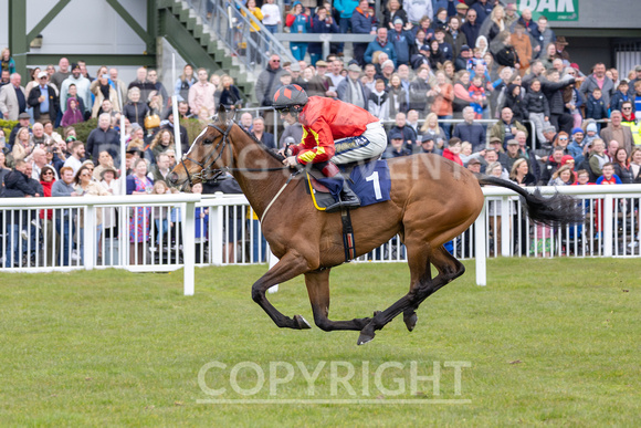 Ffos Las - Easter Sunday - 9th April 23 - Race 1 -17
