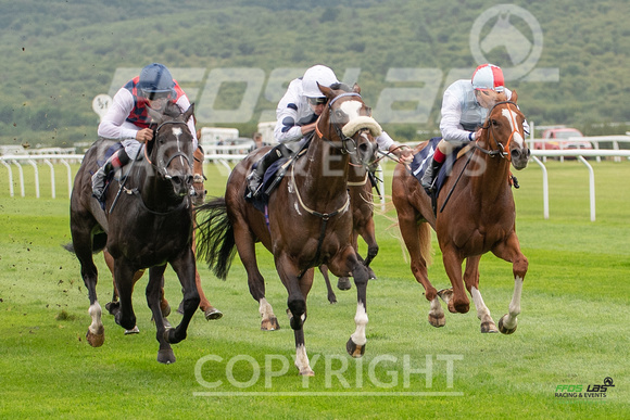 Ffos Las - 26th August 21 - Race 1 - Large-5