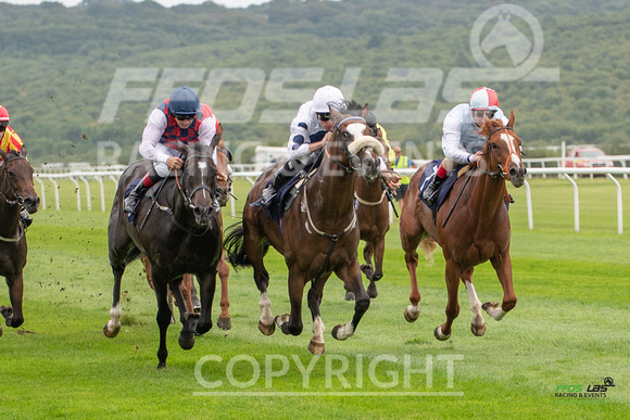 Ffos Las - 26th August 21 - Race 1 - Large-4