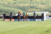 Ffos Las Race Day - 26th June 2019 - LARGE-2