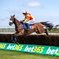Ffos Las Race Day - 26th June 2019 - LARGE-5