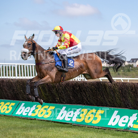 Ffos Las Race Day - 26th June 2019 - LARGE-5