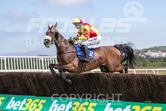 Ffos Las Race Day - 26th June 2019 - LARGE-4