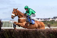Ffos Las Race Day - 26th June 2019 - LARGE-6