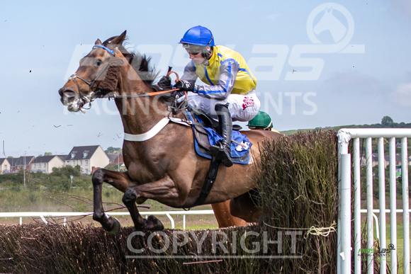 Ffos Las Race Day - 26th June 2019 - LARGE-7