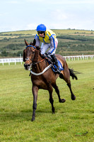 Ffos Las Race Day - 26th June 2019 - LARGE-9