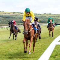 Ffos Las Race Day - 26th June 2019 - LARGE-11