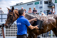 Ffos Las Race Day - 26th June 2019 - LARGE-16
