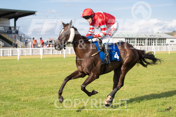 Ffos Las - 18th July 19 Eve Race Meet  - LARGE  FORMAT-10