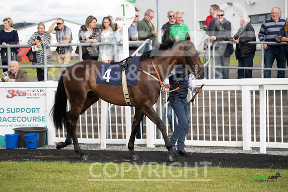 Ffos Las - 5th July 2022  -  Race 3 - Large-1
