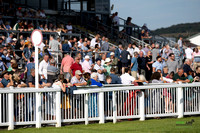 Ffos Las - 30th July 2024 - Race 1 -1