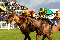 FFos Las - 19th Dec 2024 - Race 1-12