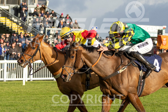 FFos Las - 19th Dec 2024 - Race 1-12