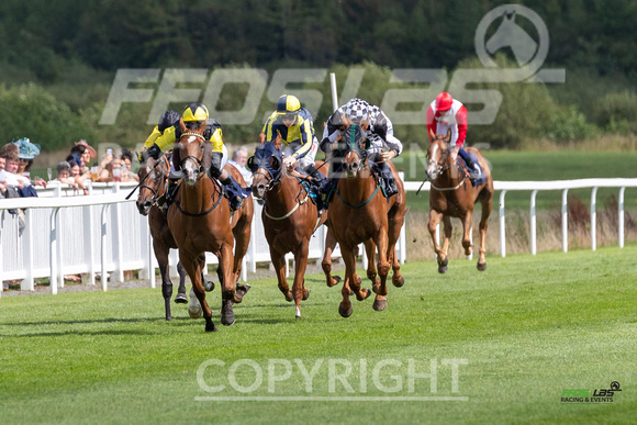 Ffos Las Ladies  Day - 26th Aug 2022 - Race 3-3