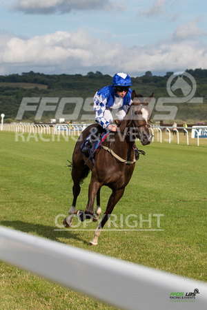 Ffos Las - 5th July 2022  -  Race 3 - Large-13