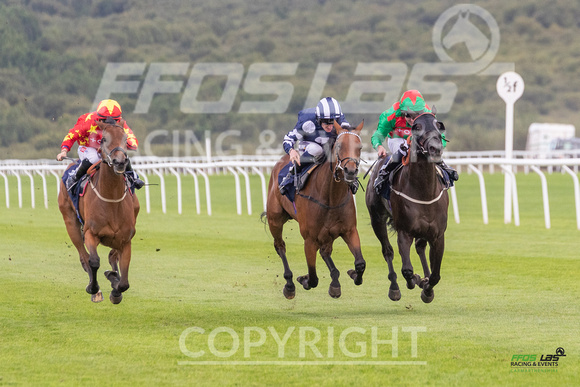 Ffos Las Ladies  Day - 26th Aug 2022 - Race 5-2