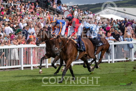 Ffos Las Ladies  Day - 26th Aug 2022 - Race 2-6