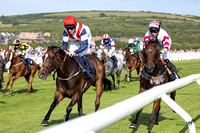 Ffos Las - 30th July 2024 - Race 1 -9