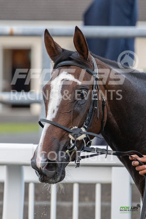 Ffos Las - 5th July 2022  -  Race 6 - Large-12