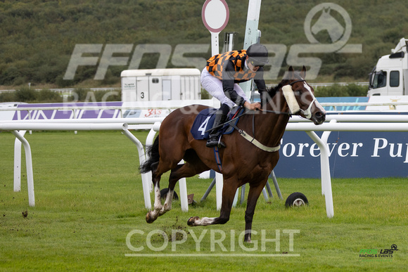 Ffos Las - 25th September 2022 - Race 1 -  Large-22