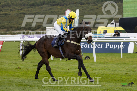 Ffos Las - 25th September 2022 - Race 1 -  Large-29