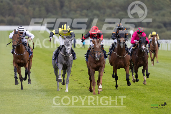 Ffos Las - 25th September 2022 - Race 2 -  Large-6