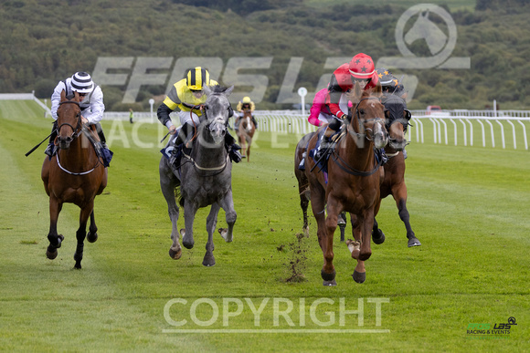 Ffos Las - 25th September 2022 - Race 2 -  Large-13