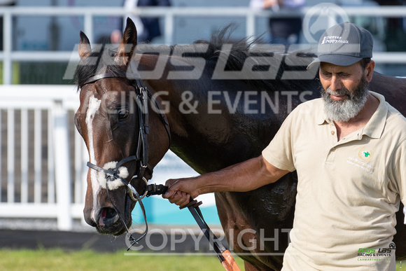 Ffos Las - 5th July 2022  -  Race 2 - Large-12