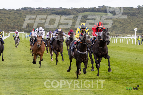 Ffos Las - 25th September 2022 - Race 7 -  Large-12