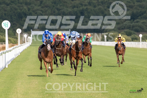 Ffos Las - 5th July 2022  -  Race 3 - Large-2