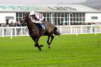 Ffos Las Race Day - 11th November 24 - Race 1 -14