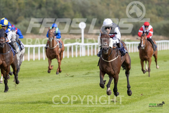 Ffos Las - 25th September 2022 - Race 5 -  Large-10