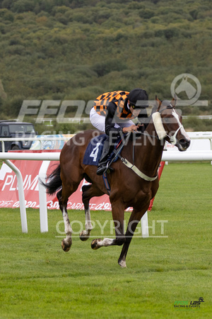 Ffos Las - 25th September 2022 - Race 1 -  Large-18