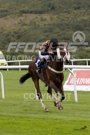 Ffos Las - 25th September 2022 - Race 1 -  Large-15
