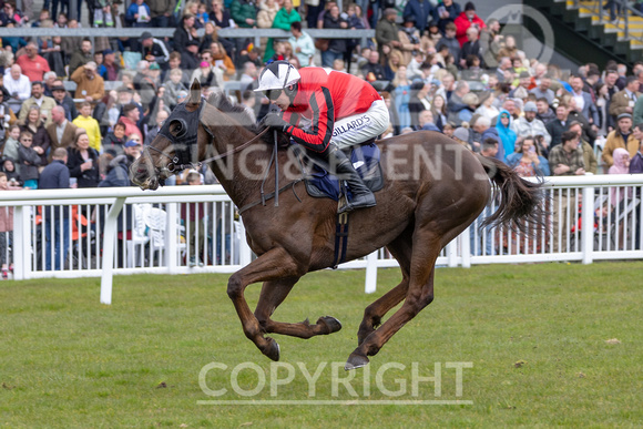 Ffos Las - Easter Sunday - 9th April 23 - Race 1 -19