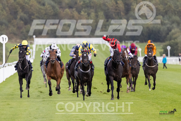 Ffos Las - 25th September 2022 - Race 7 -  Large-8