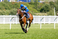 Ffos Las - 6th May 25 - RACE !-11