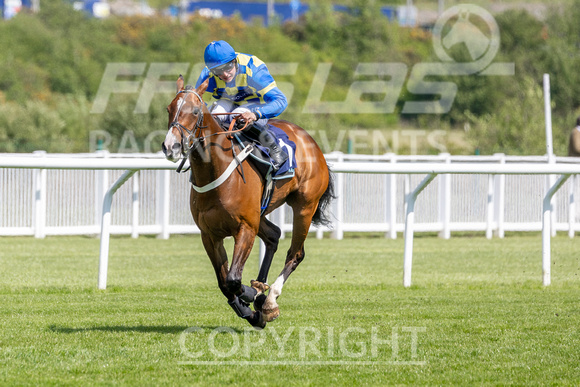 Ffos Las - 6th May 25 - RACE !-11