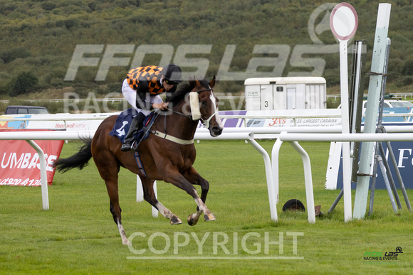 Ffos Las - 25th September 2022 - Race 1 -  Large-21