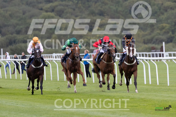 Ffos Las - 25th September 2022 - Race 1 -  Large-8