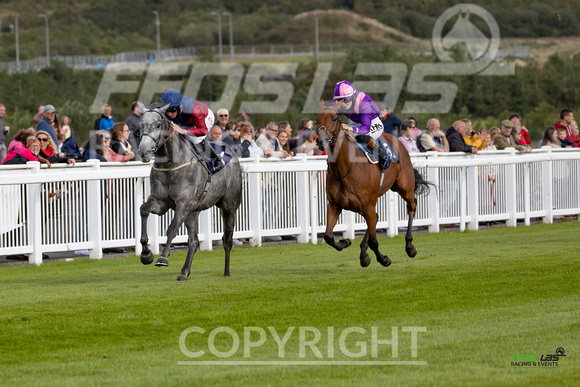 Ffos Las - 25th September 2022 - Race 4 -  Large-3