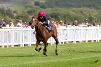 FFos Las - Thursday 29th Aug 24 - Final Edits_ Race 1-4