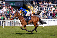 Ffos Las - 6th April 25 - Race 1 -4