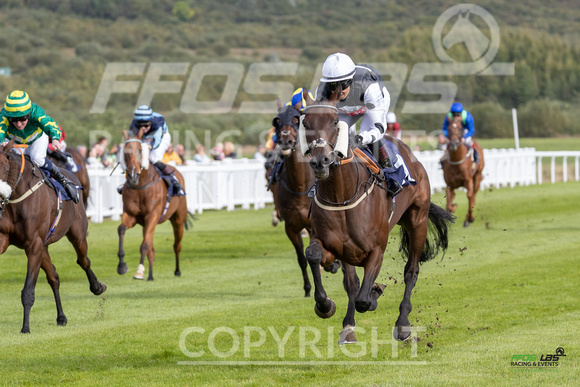 Ffos Las - 25th September 2022 - Race 5 -  Large-11