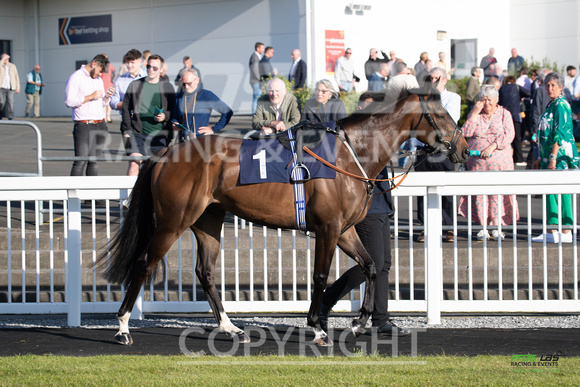 Ffos Las - 28th May 22 - Race 3 - Large-1