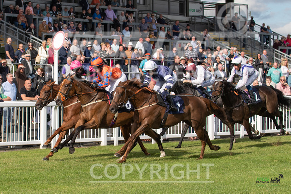 Ffos Las - 5th July 2022  -  Race 1 - Large -8