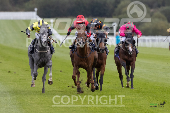 Ffos Las - 25th September 2022 - Race 2 -  Large-5