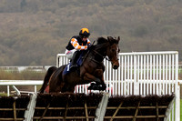 Ffos Las Race Day - 11th November 24 - Race 1 -4