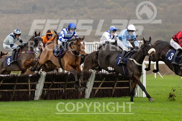 Ffos Las Race Day - 11th November 24 - Race 1 -8