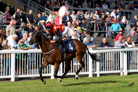 Ffos Las - 5th July 2022  -  Race 1 - Large -11